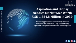 Aspiration and Biopsy Needles Market Major Players, Growth Analysis by 2030