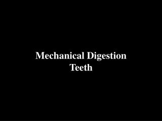 Mechanical Digestion Teeth