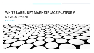 White label NFT Marketplace Platform Development
