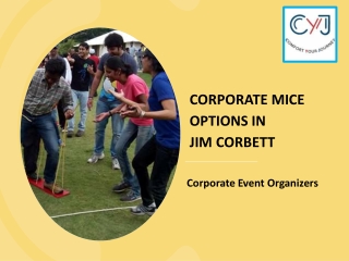 Corporate Event Organisers In Jim Corbett | Corporate Team Outing In Jim Corbett