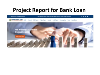 Project Report for Bank Loan