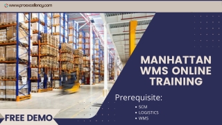 Manhattan WMS PDF