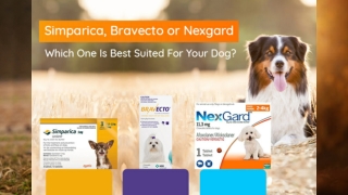 simparica vs bravecto vs nexgard