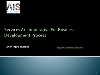 Services Are Imperative For Business Development Process