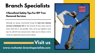 5 Beneficial Safety Tips For DIY Tree Removal Services