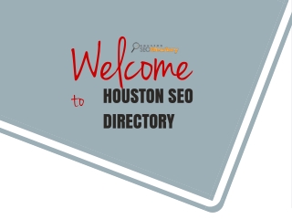 Best Houston SEO Experts