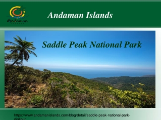 Saddle Peak National Park