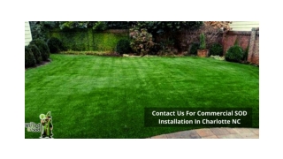 CONTACT US FOR COMMERCIAL SOD INSTALLATION IN CHARLOTTE NC