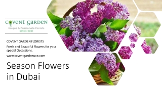 Season Flowers in Dubai​