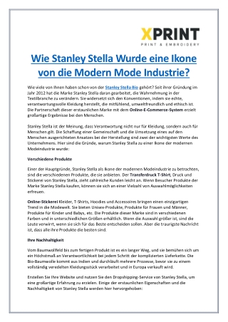 Wie wurde Stanley Stella zu einer Modeikone?