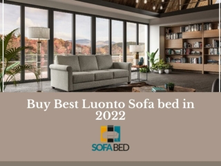 Buy Best Luonto Sofa bed in 2022