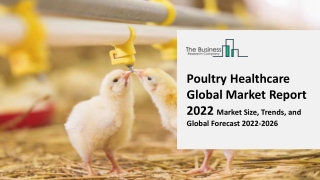 Poultry Healthcare Global Market Size, Share, Trends, Outlook,  Application, End Users, Countries and Companies to 2031