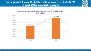 North America Animal Model Market 2021 Industry Trends | Growth Dynamics To 2027