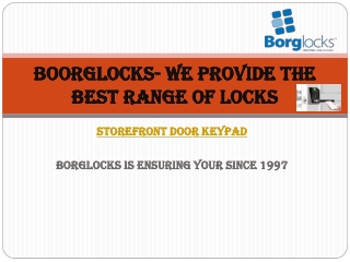 Borglocks Storefront Door Keypad