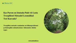 Kas parem on istutada puid või lasta Troopilistel Metsadel loomulikul Teel kasva