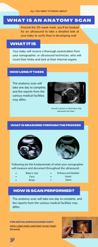 What is an anatomy scan ?