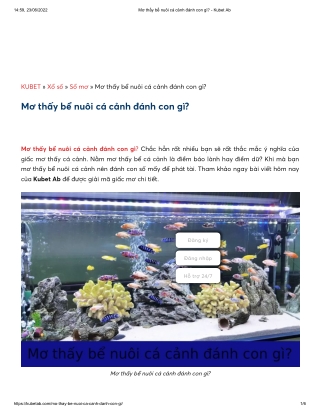 Mơ thấy bể nuôi cá cảnh đánh con gì_ - Kubet Ab