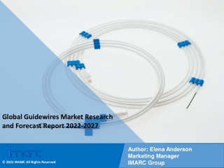 Guidewires Market Report PDF, Industry Trend, Analysis and Revenue Statistics