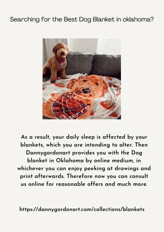 Searching for the Best Dog Blanket in oklahoma