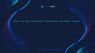 What Are the Different Salesforce Metadata Types