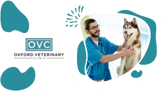 Oxford Veterinary Hospital