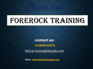Forgerock Training.pdf