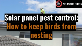 Solar Panel Pest Control -  How to keep birds from nesting