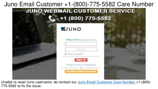 1(800) 775 5582 Juno Email Customer Support Number