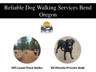 Reliable Dog Walking Services Bend Oregon