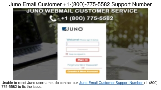 1(800) 775 5582 Juno Email Customer Service Number