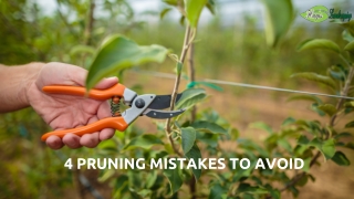 4 Pruning Mistakes to Avoid