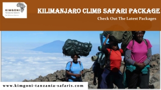 Kilimanjaro Climb Safari Package