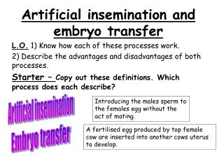 Artificial insemination and embryo transfer