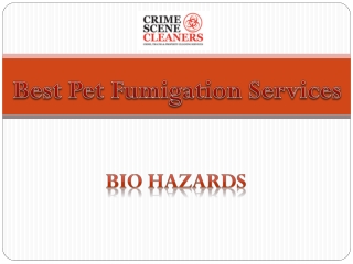 Best Pet Fumigation Services