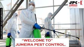 Pest Control Companies in UAE