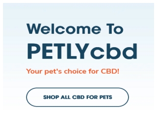 Best CBD for Cats