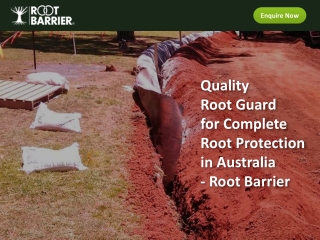 Quality Root Guard for Complete Root Protection in Australia - Root Barrier