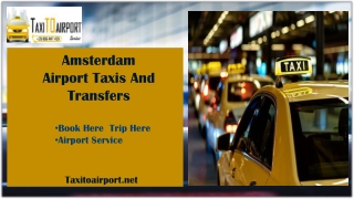 Amsterdam Airport taxis and transfers