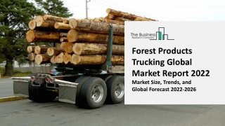 Forest Products Trucking Global Market By Type, End User, Region, Application, Growth Analysis and Forecast to 2031