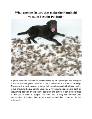 What are the factors that make the Handheld vacuum best for Pet Hair?