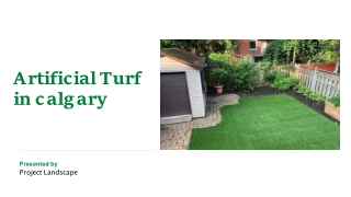 Artificial Turf Calgary