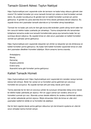 Taşımacılığın Güvenli Adresi: Tayfun Nakliyat