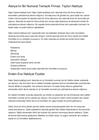 Alanya’nın Bir Numaralı Taşımacılık Firması: Tayfun Nakliyat