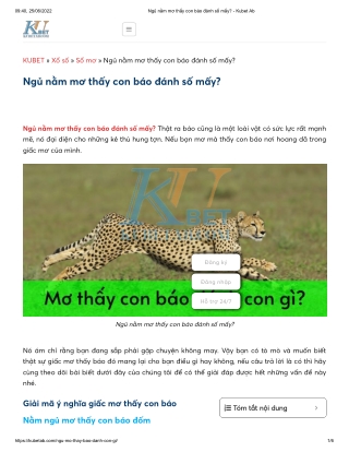 Ngủ nằm mơ thấy con báo đánh số mấy_ - Kubet Ab