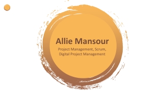 Allie Mansour - A Motivated and Organized Professional