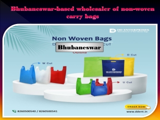 Wholesaler of Non Woven Carry Bags in Bhubaneswar