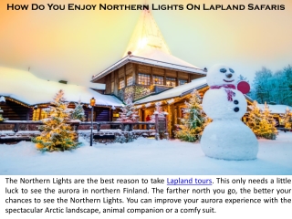 How Do You Enjoy Northern Lights On Lapland Safaris?