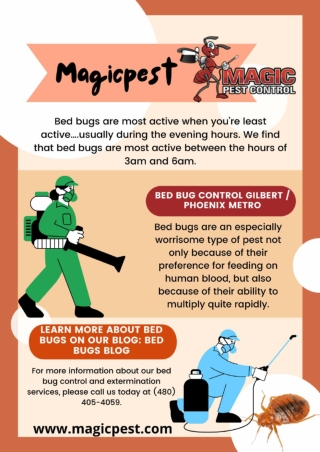 Bed Bug Control Gilbert | Exterminator gilbert az