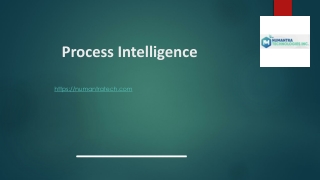 Process intelligence