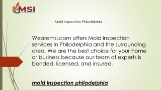 Mold Inspection Philadelphia  Wearemsi.com